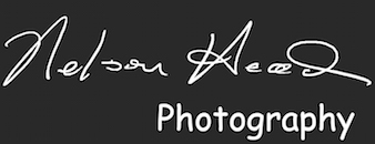 Nelson Head Photography Logo